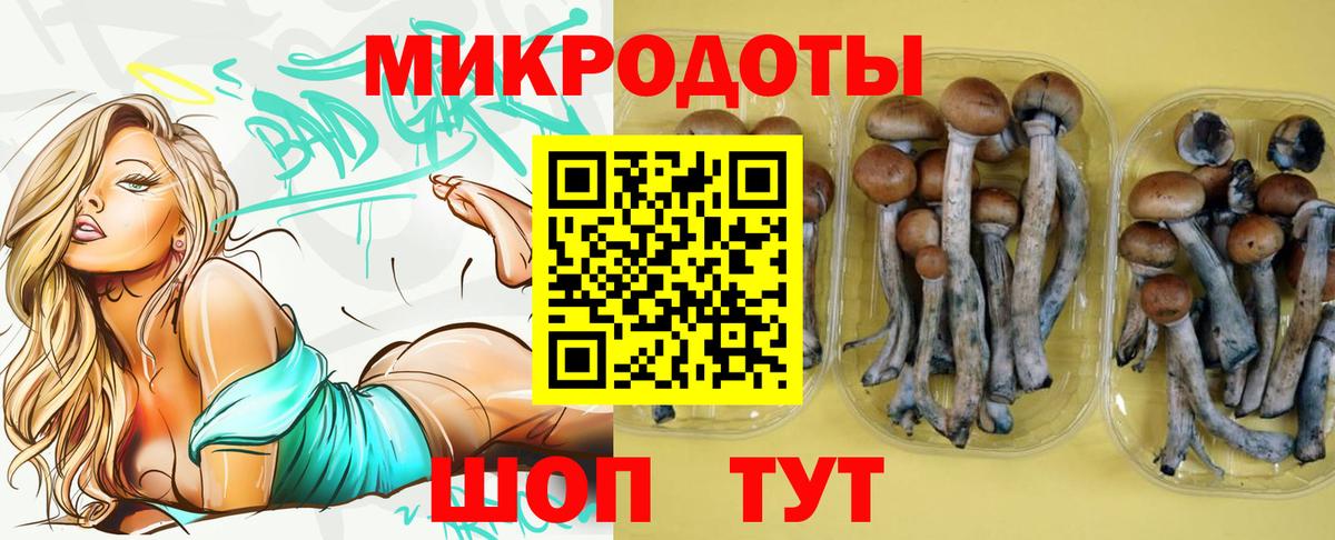 Псилоцибиновые грибы Cubensis  Галлюциногенные грибы Psilocybine cubensis  Вход с VPN  Петропавловск-Камчатский 