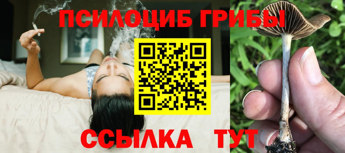 Галлюциногенные грибы MAGIC MUSHROOMS Петропавловск-Камчатский